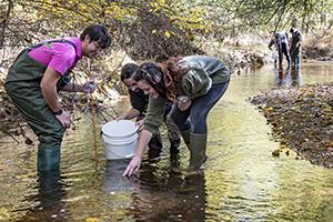 Students standing in a shallow creek